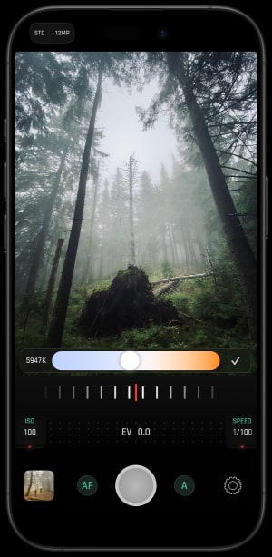 Optika White Balance Interface