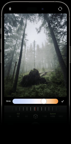 Optika White Balance Interface